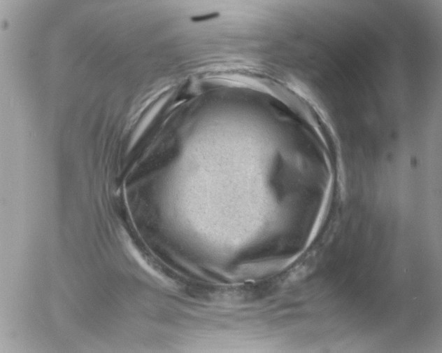 X0000053150105200508012320