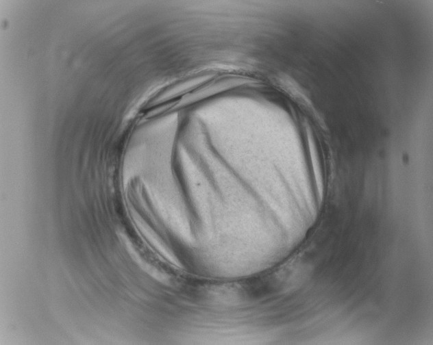 X0000053150106200508012320