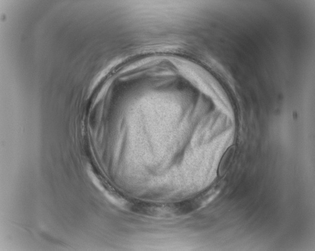 X0000053150107200508012320