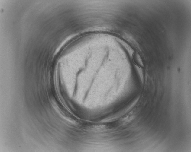 X0000053150108200508012320