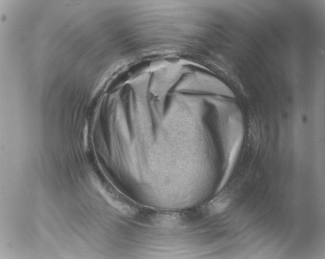 X0000053150110200508012320