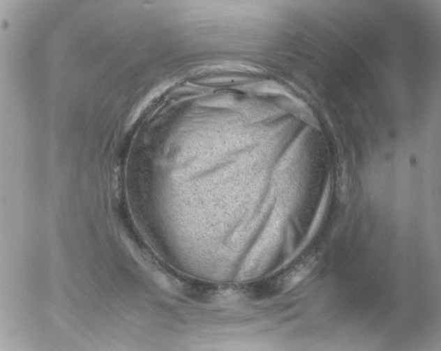 X0000053150111200508012320