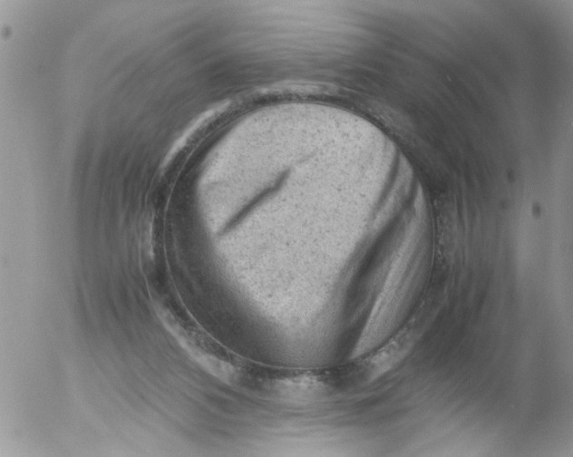 X0000053150112200508012320