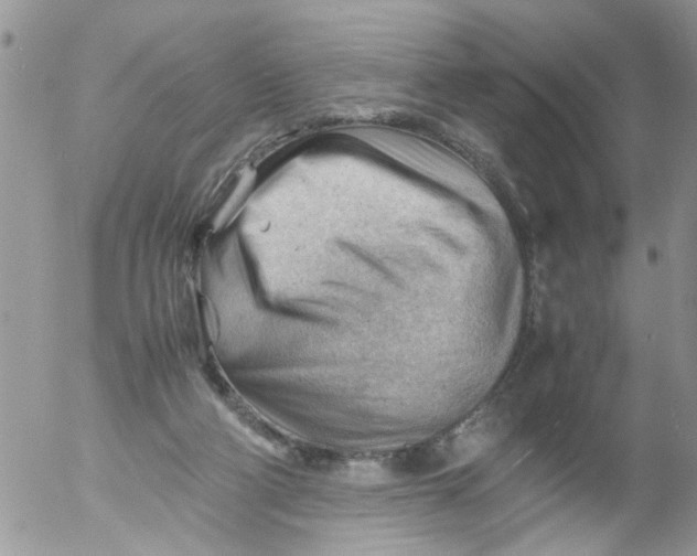 X0000053150114200508012320