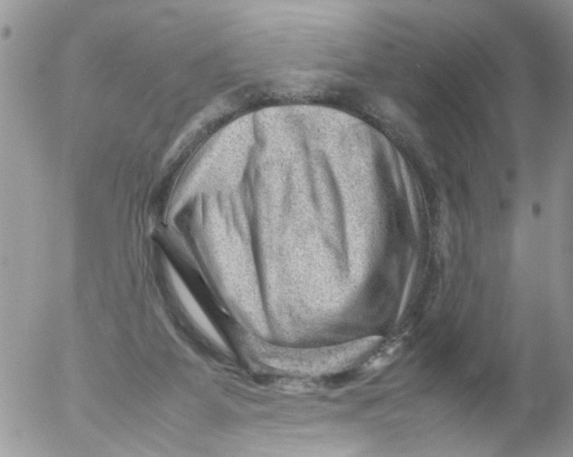 X0000053150115200508012320