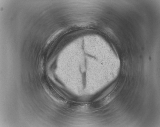 X0000053150116200508012320