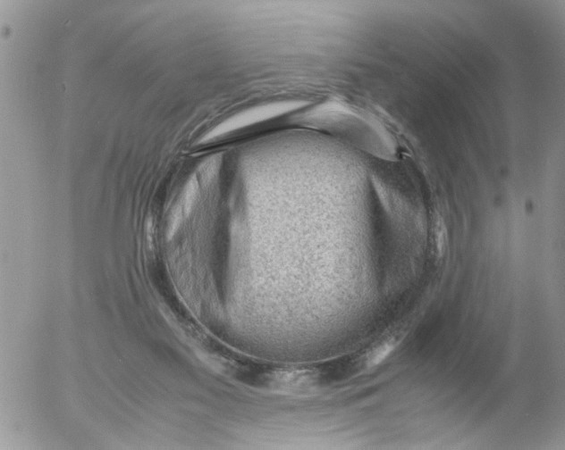 X0000053150117200508012320