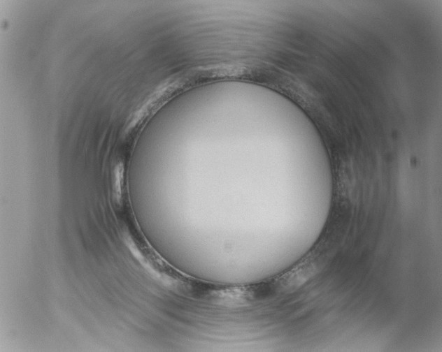 X0000053150118200508012320