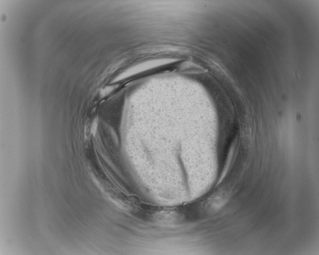 X0000053150119200508012320