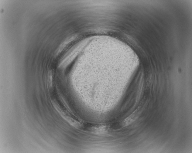 X0000053150120200508012320