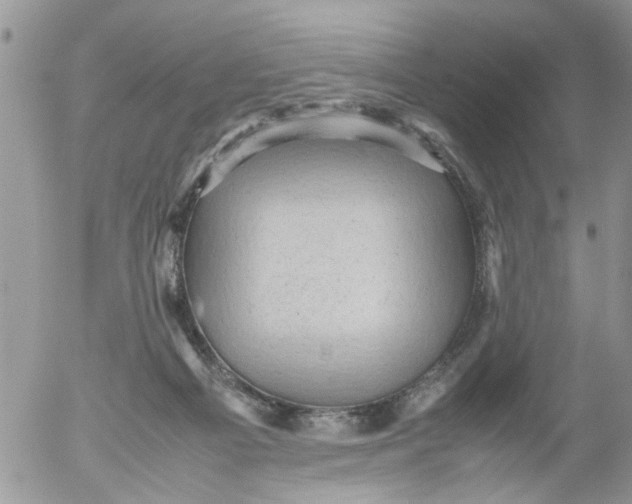 X0000053150121200508012320