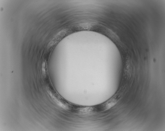 X0000053150122200508012320