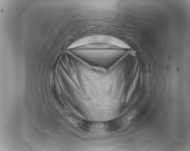 X0000053150123200508012320