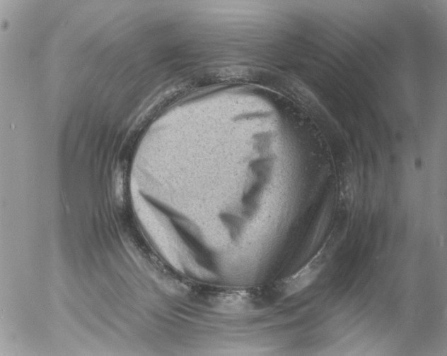 X0000053150124200508012320