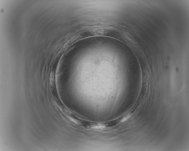 X0000053150125200508012320