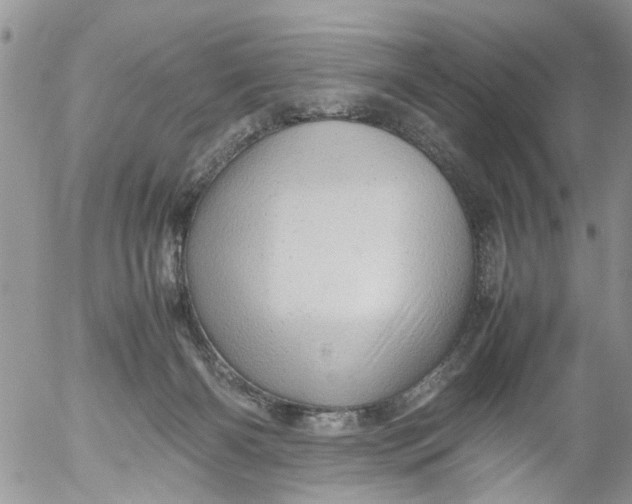 X0000053150126200508012320