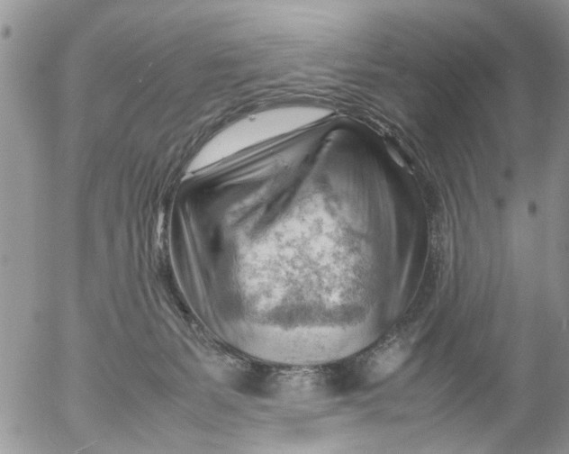 X0000053150127200508012320