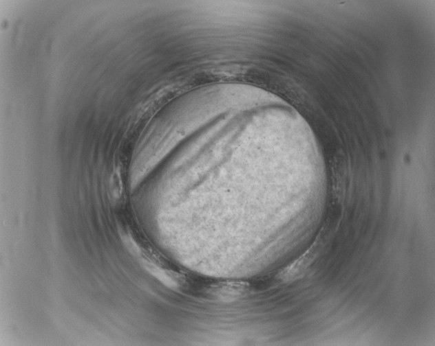 X0000053150128200508012320