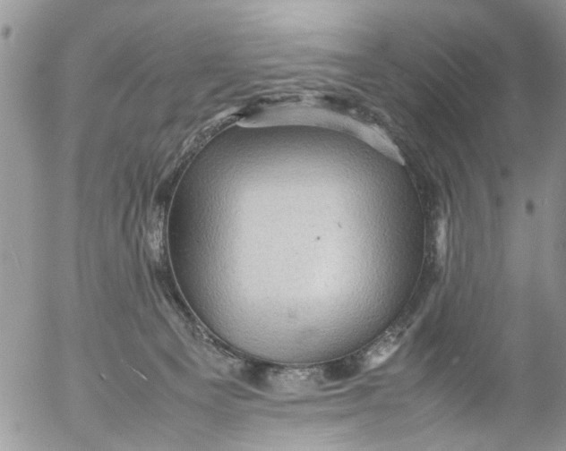 X0000053150129200508012320