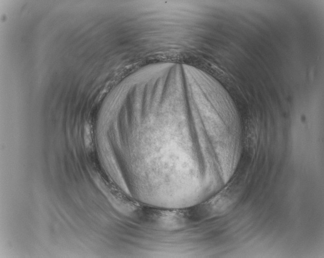 X0000053150130200508012320