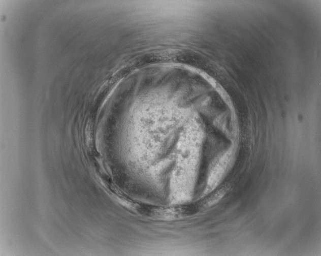 X0000053150131200508012320