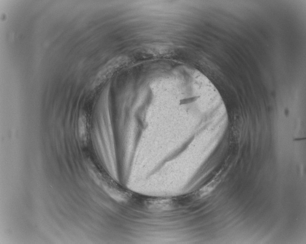 X0000053150132200508012320