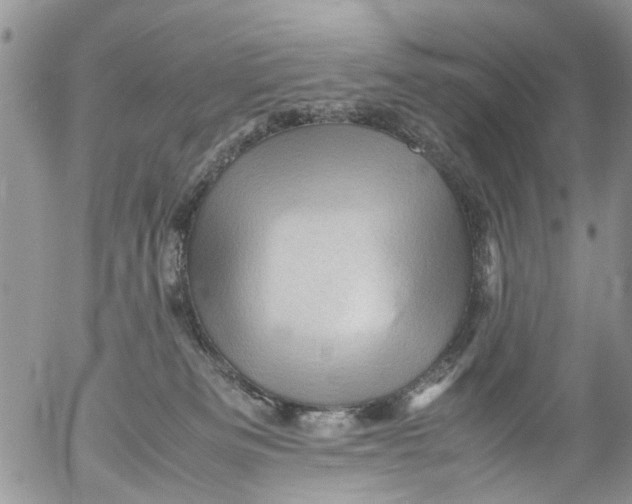 X0000053150133200508012320