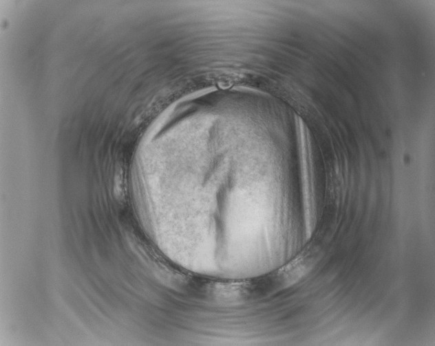 X0000053150134200508012320