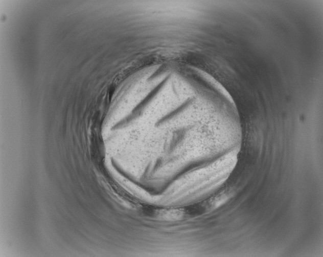 X0000053150135200508012320