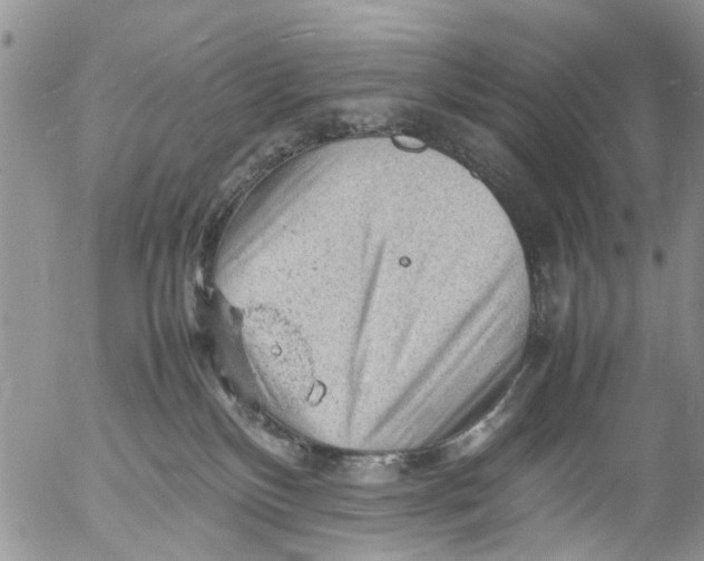 X0000053150136200508012320