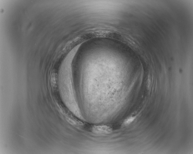 X0000053150137200508012320