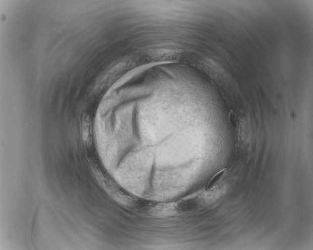 X0000053150138200508012320