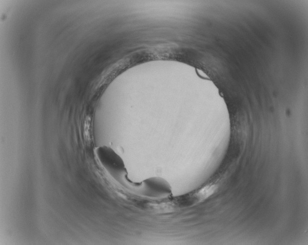 X0000053150139200508012320