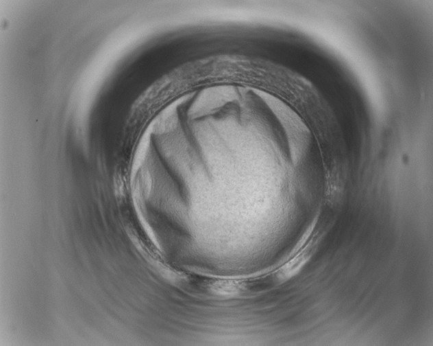 X0000053150142200508012319