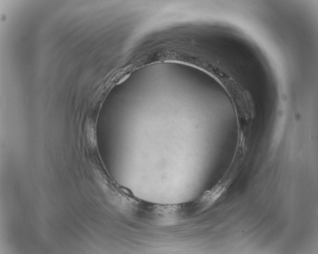 X0000053150143200508012319