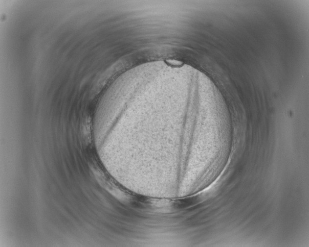 X0000053150144200508012319