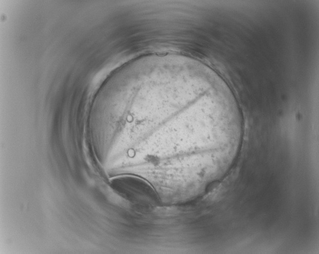 X0000053150145200508012319