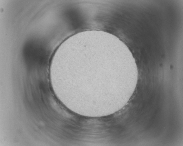 X0000053150146200508012319