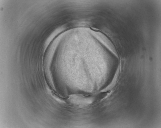 X0000053150147200508012319