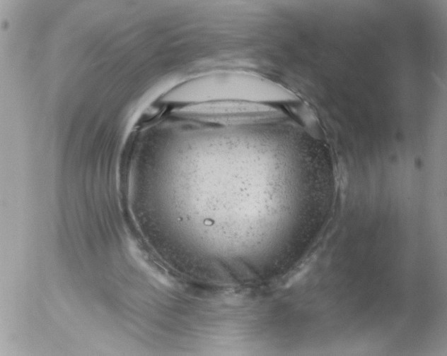 X0000053150148200508012319