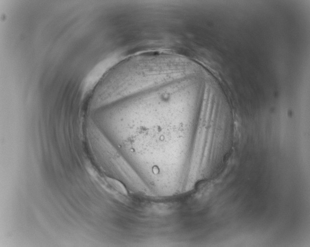 X0000053150149200508012319