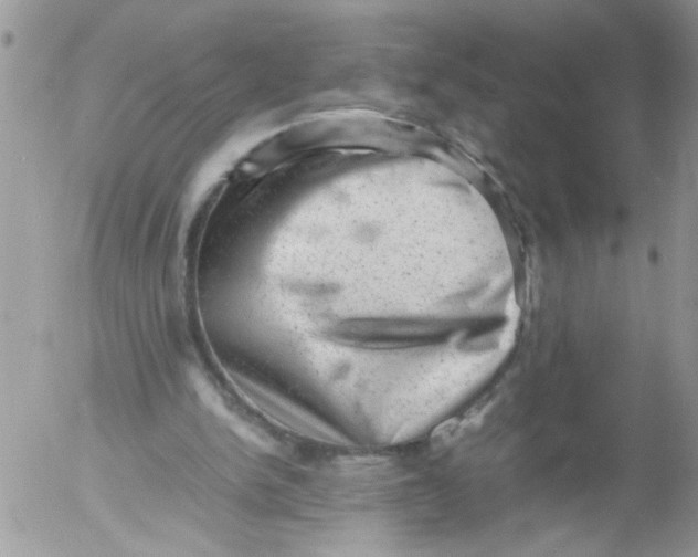 X0000053150150200508012319