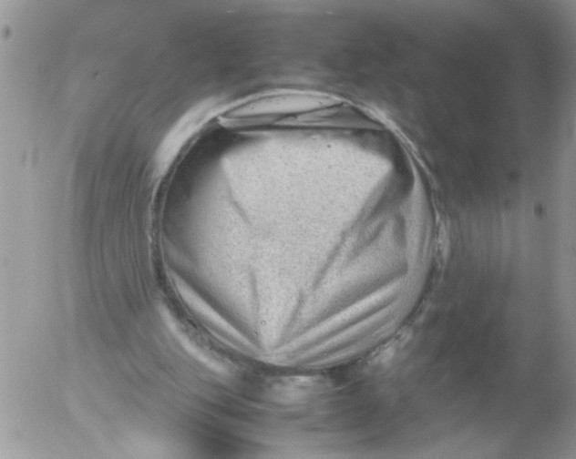 X0000053150151200508012319