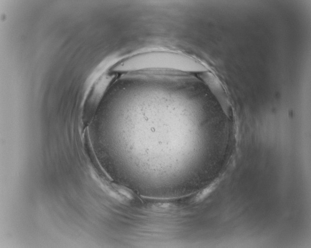 X0000053150152200508012319