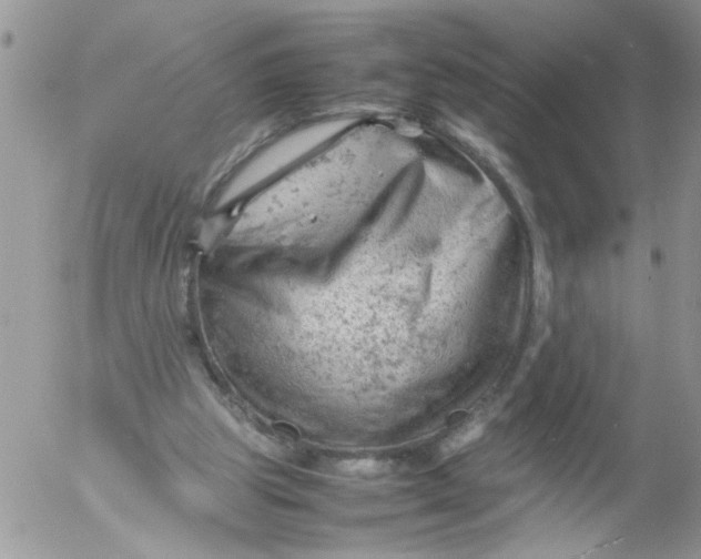 X0000053150153200508012319