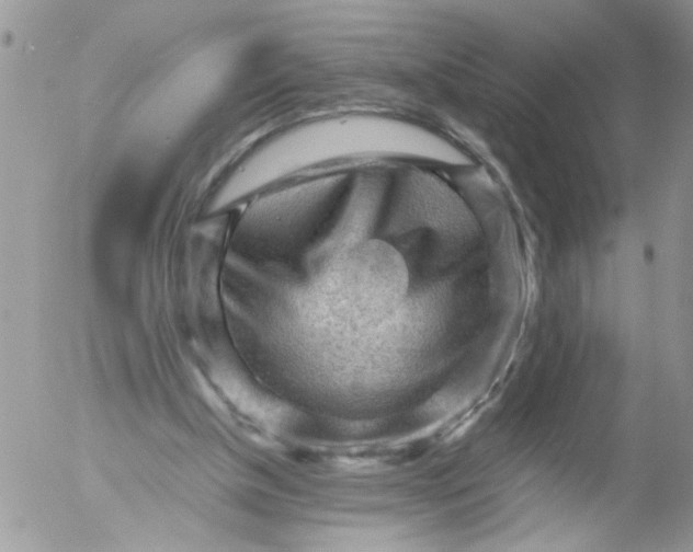 X0000053150154200508012319