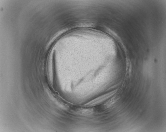 X0000053150155200508012319