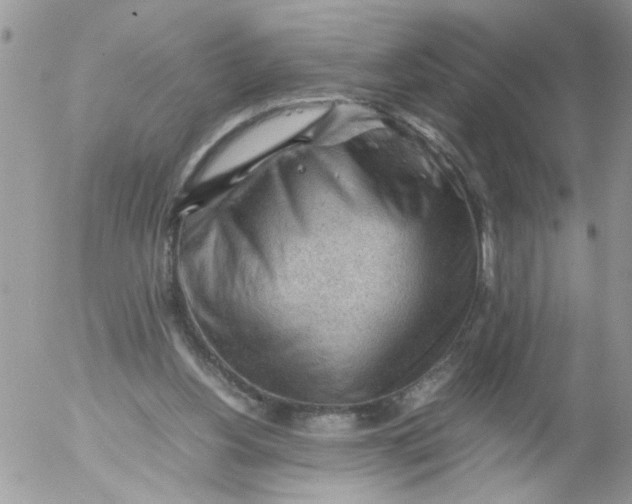 X0000053150156200508012319