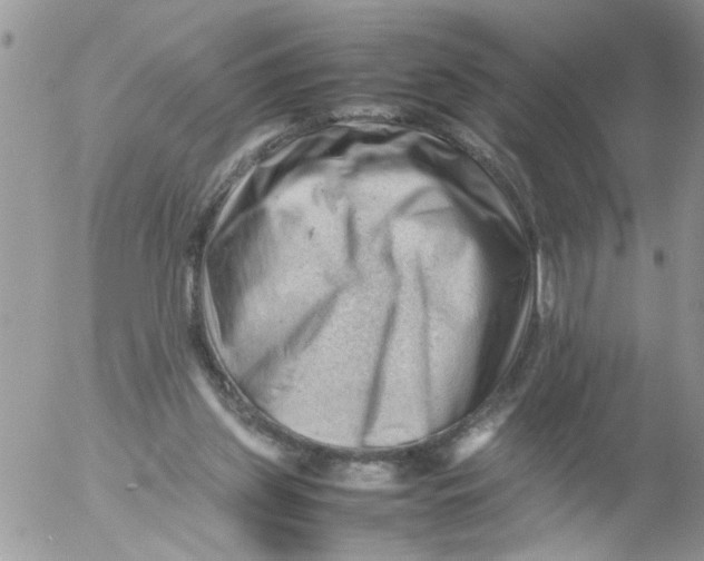 X0000053150157200508012319