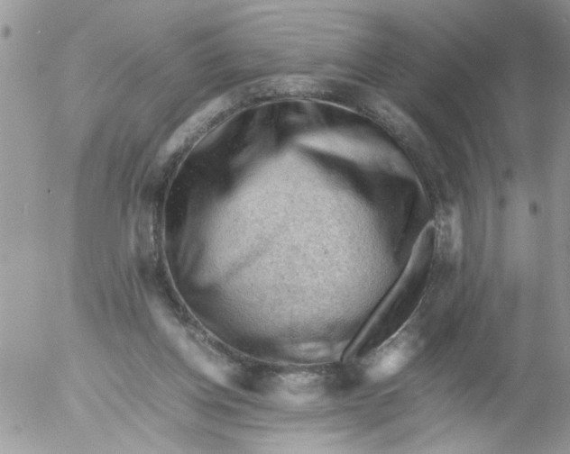 X0000053150158200508012319